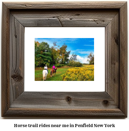 horse trail rides near me in Penfield, New York